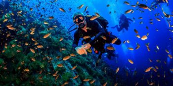 6 Maddede Vurgun Hakkında Merak Edilenler