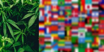 Esrar Kullanımının Yasal Olduğunu Duyunca Çok Şaşıracağınız 33 Ülke