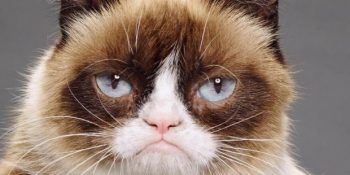 Instagram’ı Kendi Kendini İmhaya Zorlayan 10 Profil