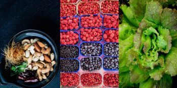 Sizi Fil Hafızalı Yaparak Odaklanmanızı Artıracak 8 Besin