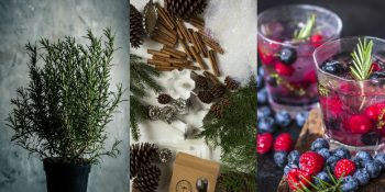 Kış Aylarında Her Daim Tüketmeniz Gereken Gripsavar 11 Bitki ve Çayları