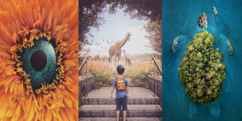 Gerçeklik Algınızı Yerle Bir Ederken Sizi Kendisine Hayran Bırakacak 37 Fotoğraf