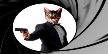 CIA’den Pes Dedirtecek Bir Casusluk Örneği: Akustik Kedicik