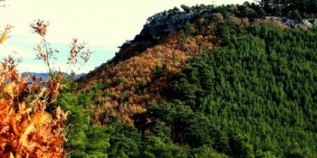 7 Maddede Türkiye’nin Oksijen Deposu Kaz Dağları