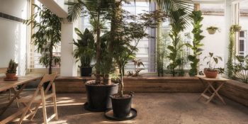 Yağmur Çamur Demeden Gezmek İsteyenlere 7 Kış Bahçesi