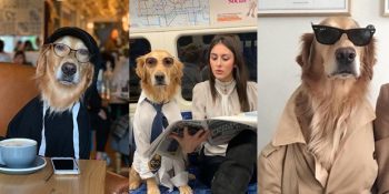 Dünyanın En Havalı Hayatını Yaşayan Köpek Hugo ve İçimizi Eriten 28 Fotoğrafı