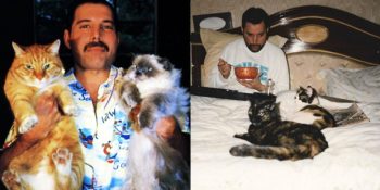 20 Nostaljik Fotoğrafla Çocukları Gibi Sevdiği Kedileri ve Freddie Mercury