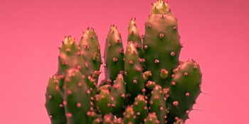 Kritik Gelişmelere Gebe Dolunay Etkileriyle 18 – 24 Şubat Haftalık Burç Yorumları