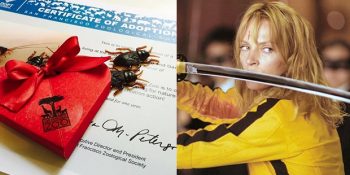 Hamam Böceğine Eski Sevgilinizin Adını Verebileceğiniz Muhteşem Sevgililer Günü Kampanyası