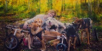 Köpekleriyle Yaşamak İçin Kariyerinden Vazgeçen Fotoğrafçının Kalpleri Isıtan Hikayesi