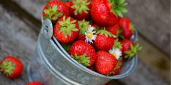 Dünya Çilek Günü Şerefine Mis Kokulu 20 Tarif