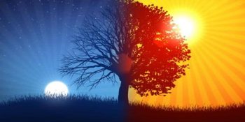 7 Günlük Hafta Kavramını Kim İcat Etti? Nereden Geliyor Bu Mevzu?