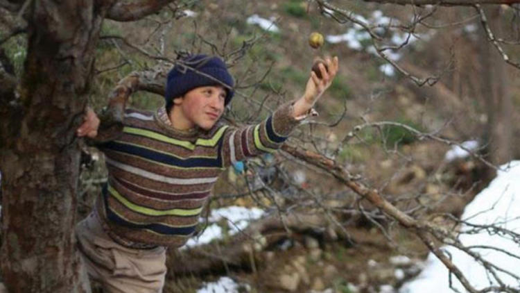 türk filmleri