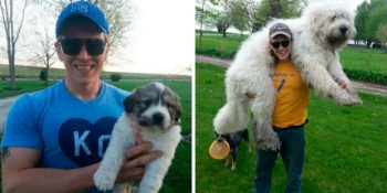 Sahipleriyle Birlikte Büyüyen Köpeklerin 50 Öncesi ve Sonrası Fotoğrafı