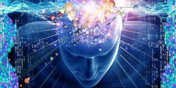 Zeka Seviyemiz ile İlgili Tartışmada Bilim Dünyası Ne Diyor?