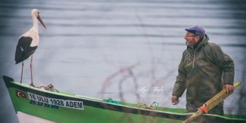 Her Sene Aynı Yerde Buluşan Adem Amca ve Yaren Leylek’in Öyküsü