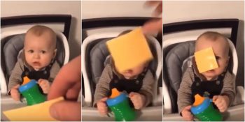 Twitter’ın Kahkahalara Boğacak Yeni Akımı: Hayvanlara ve Bebeklere Cheddar Fırlatmak