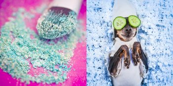 Yüzde 100 Bitkisel ve Hayvan Dostu Ürün Tercih Etmek İçin 10 Harika Sebep