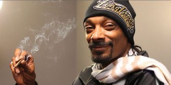 Kenevir Kullananların Daha Mutlu ve Başarılı Olduklarını İddia Eden Araştırma