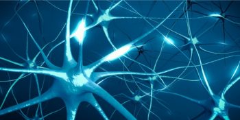 Birçok Soruya Cevap Olabilecek Araştırma: Yaşlandıkça Zaman Neden Daha Hızlı Geçiyor?