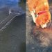 Doğanın Karanlık Tarafını Gözler Önüne Seren 30 Çarpıcı Fotoğraf