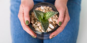 21 Mart’ta Gerçekleşecek Terazi Dolunayı ve Yükselen Burçlara Etkileri