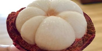 Meyvelerin Kabukları Olmadan Nasıl Göründüğünü Gösteren 20 Tatmin Edici Fotoğraf