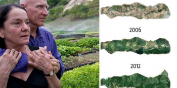 20 Yıl Boyunca Ağaç Dikerek Koskoca Bir Orman Yaratan Çift