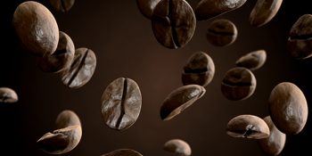 Güneş Panellerine Kahve Takviyesi