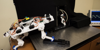 Hiçbir Şey Bilmeden Doğan Robot Bacak Kendi Kendine Yürümeyi Öğrendi