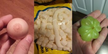 “Yersem Ölür Müyüm?” Diye Sorgulatan 17 Garip Yiyecek