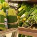 Plastik Poşet Kullanımına Doğal, Ucuz ve Zekice Bir Çözüm Bulan Süpermarket