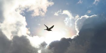 Bir Türlü Vazgeçememenin Teorisi: Concorde Yanılımı