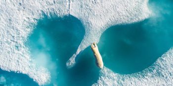 Yaşadığımız Gezegenin Görkemli Güzelliğini Gösteren 30 Kuş Bakışı Fotoğraf