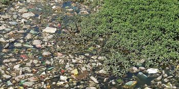 Hindistan’da Yaşayan 26 Yaşındaki Adam Kuruyan Gölleri Canlandırarak Dünyaya Örnek Oluyor