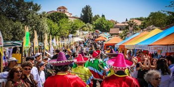 Türkiye’nin Tek Vegan Festivali 3. Didim VegFest Başladı!