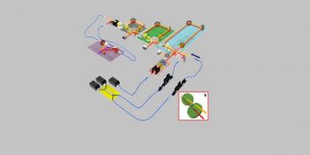 Bilim İnsanları Muhtemel Gelecek Senaryolarını Gösteren Bir Aygıt İcat Etti