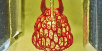 Biyomühendisler 3D Organ Yazdırma Yolundaki Engelleri Birer Birer Temizliyor