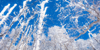 NASA’nın Yeni İklim Raporu’ndan: Gezegenimiz Mini Buzul Çağı’na Giriyor