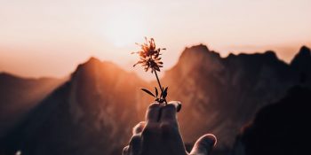 19 Mayıs’ta Akrep Burcunda Gerçekleşecek Dolunay’dan En Çok Etkilenecek 5 Burç