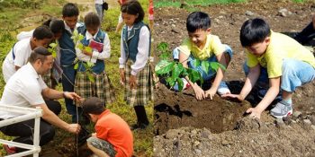 Filipinler’de Öğrencilerin Mezun Olabilmek İçin 10 Ağaç Dikmesi Gereken Yeni Yasa