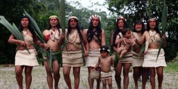 Hükümeti Dava Ederek Yağmur Ormanlarını Kurtaran Kabile: Waorani