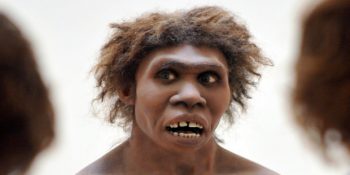 İlk İnsanların Az Oksijenle Hayatta Kalabildikleri Keşfedildi