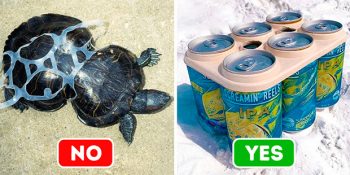 Okyanusları Kirlilikten Kurtaran 9 Mucize İcat