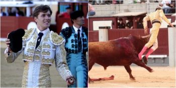 Boğanın İntikamı Kötü Oldu: Matador Kalçasından Boynuzlandı!