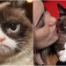 İnternetin Göz Bebeği, Huysuz Ama Tatlı “Grumpy Cat” Hayata Gözlerini Yumdu