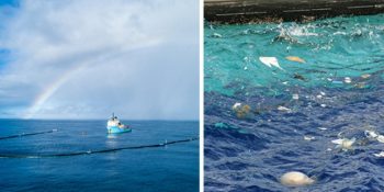 Gezegenimiz İçin Yaptıklarıyla Kendinizi İyi Hissetmenize Neden Olacak İlham Verici 10 İnisiyatif