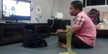 Ölen Kız Arkadaşının Yasını Kobrayla Evlenerek Tutan Adam