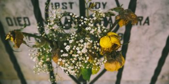 Mucizevi Şekilde Kesişen Hayatların Mezarlıkta Başlayıp Aşkla Sona Eren Hikayesi