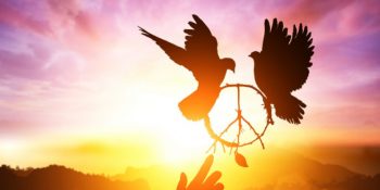 Beden-Zihin-Ruh Dengesiyle 3 Adımda Huzura Yolculuk